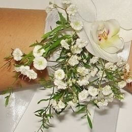 Flower delivery to . Report No. 6