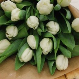 Flower delivery to . Report No. 54