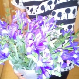 Flower delivery to . Report No. 59