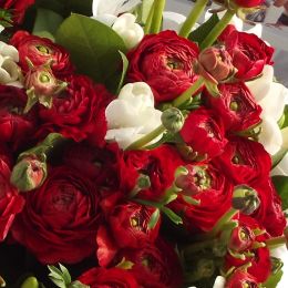 Flower delivery to . Report No. 67