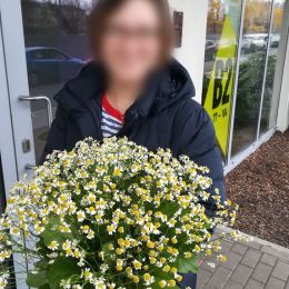 Flower delivery to Rīga. Report No. 2752