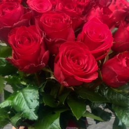 Flower delivery to Talsi. Report No. 2791