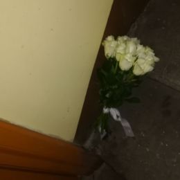 Flower delivery to Rīga. Report No. 3185