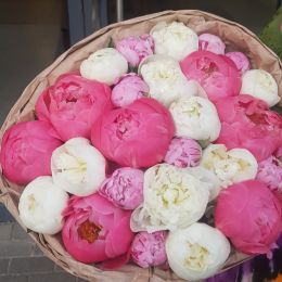 Flower delivery to Rīga. Report No. 3408