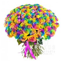 Rainbow rose