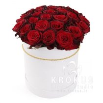 Красные розы в коробке