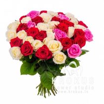 Роза MIX 50CM