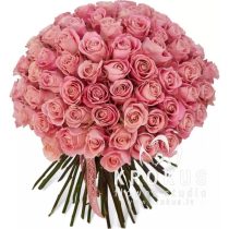 Pink roses