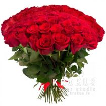 Red Roses XXL 40cm