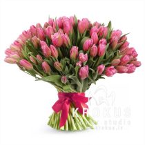 Pink tulips 51pcs