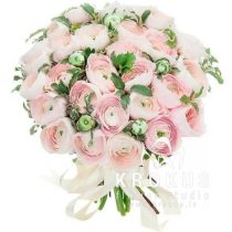 Ранункулюсы Ханой