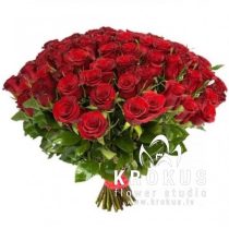 Red Holland roses 50cm