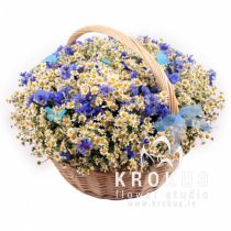 Margrietiņu grozs