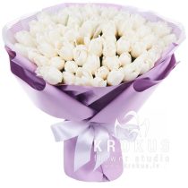 Baltas tulpes