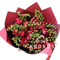 Sarkanas frēzijas