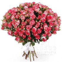 Spray roses