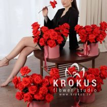 Set of Scarlet Roses