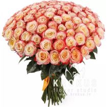 Twocollors roses