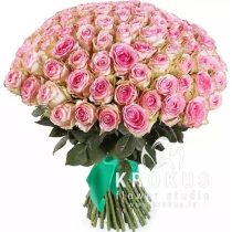 Pink rose