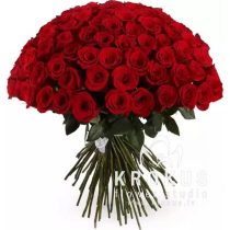 Красные розы 60cм XXL