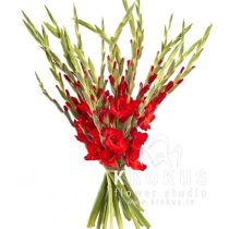 Sarkanas gladiolas