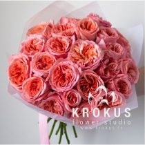 Pink peony roses