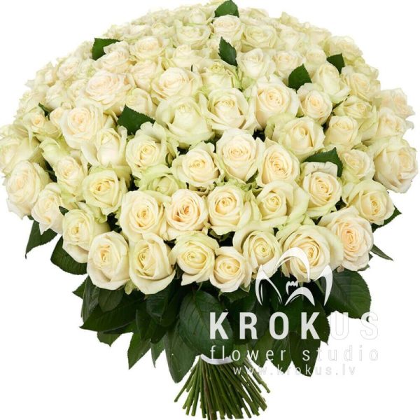 101 baltas rozes 35cm Super Cena!