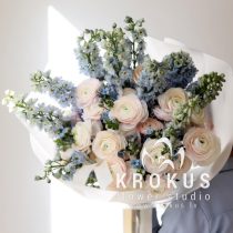 Debesszils maigums