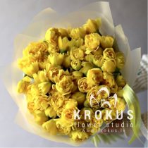 Narcises