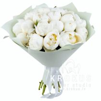 Baltas peonijas