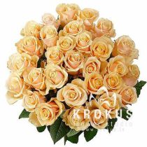 Bouquet of roses ''Cream-Brule"